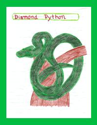 diamond python